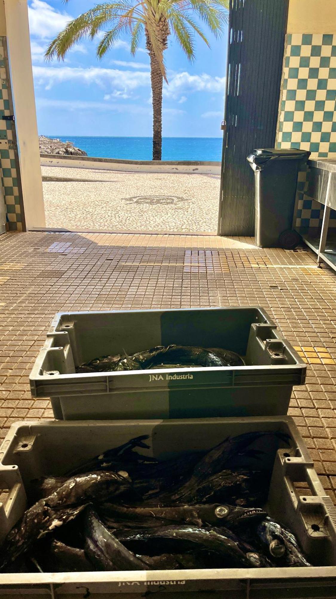 Amazing Sea Light Apartment, Close To The Beach. サンタ・クルーズ エクステリア 写真